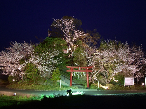 资料图:日本最矮的自然形成山"弁天山".
