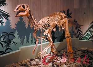 10����Ϊ��֪�Ŀ���֪ʶ���еĿ����ܻ�300��