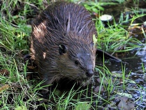 �������Ϻ���ˮ��̽���⡰��������������סԺ