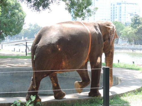 Խ�Ϻ��ڶ���԰�⿪������������������ɻ��ͼ��