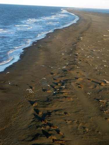 ����˹�ӱ�������ʴ�̶�����������в������Ϣ