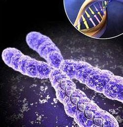 研究:链球菌新型变异体扩全球死亡率达25%