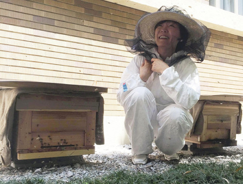 �����������۷䳫������������ͼ�����ѻ���