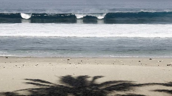 ��ý���������������������ơ��ɻ����š�����