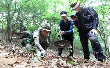 �������°��곯��ս���������ź�����Ͷ4��ٱ�