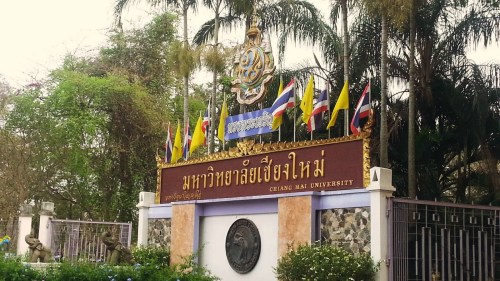 13万中国游客涌入清迈大学马路中央拍照遭投诉