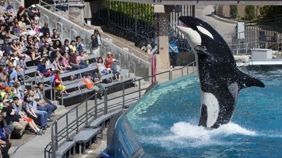 ����ʥ���Ǹ纣�����罫��ȡ���������