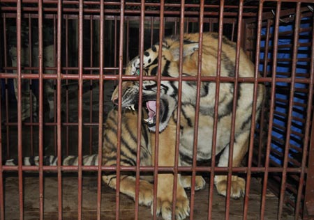 ̩һ4��Ůͯ�����ϻ�ʱͷ����ץ��������Σ��