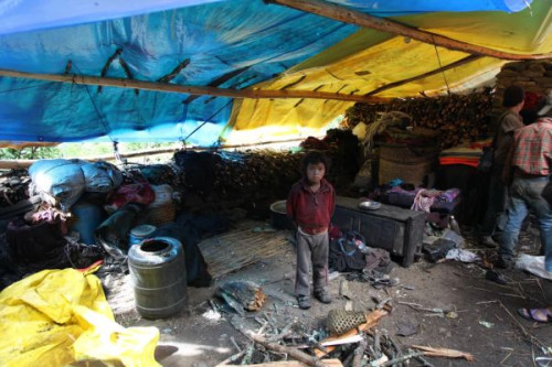 �Ჴ����������Ҵ����򵱵������轵�Ϻ��ж���