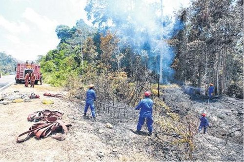 �����ܶ����ŵӰ��ɺ������������ֻ𽫶�