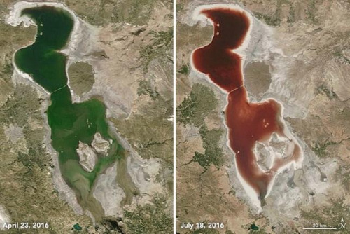 ����Ѫ�����ڶ��׺������������С˭�����֣���ͼ��