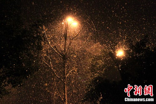 重庆主城区飘落19年来第一场雪(图)
