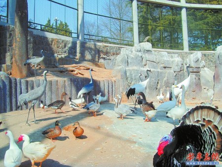 �ൺ������ǰ��̨����׽�쳣 ⨺����񵱡��ڱ���