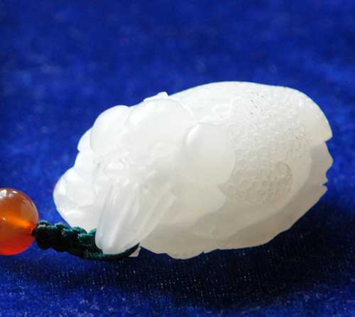 ����ɽ�ر��������ʯ����������ٱ�Ǳ��ץ��