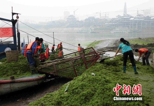 ��������ζ�֧���ִ�����Ƽ�Ѵ�����ǧ�֣�ͼ��