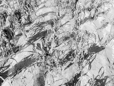 �������������Ϯ��8����1680Ķũ�������֣�ͼ��