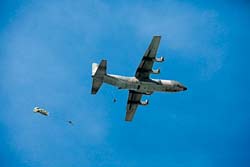 ֱ����ӡ�����ֲ�����ѵ�з�ѧϰ�Է���ɱ��ﵡ���3��