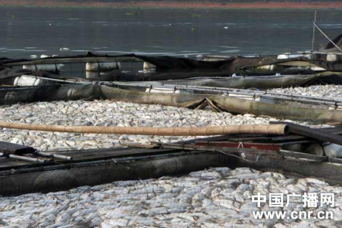 ����������������ԭ����ɹٷ���ȱ����������Ⱦ