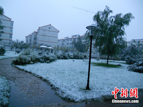 ɽ����˳���·�ѩ����ר�ҳ��޷�׼ȷԤ��