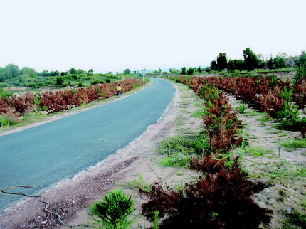 ����һ�ֳ��Ʒ�ӳ������ա��Ա��ŵġ���ְͣ