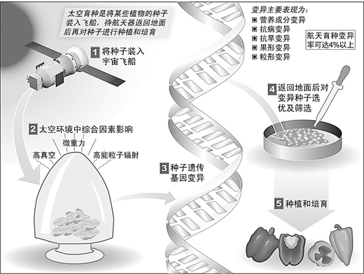 ����Ƽ��෽�����������˻�������嶥��ȼ