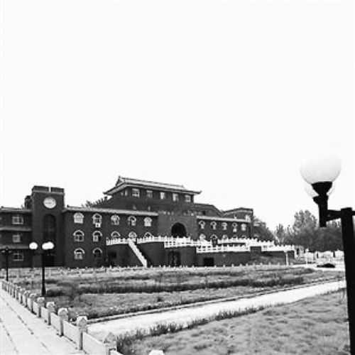 河南豪华乡办公楼被曝光12年后被评丑陋建筑(图)