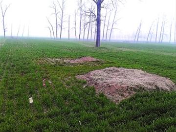 �ܿ�£�ص���:��֧��ӵ��ƽ�ر����˿����Т