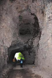 �Ĵ��˱�����Ϊ���з����Լ��������ѷ���ʮ����