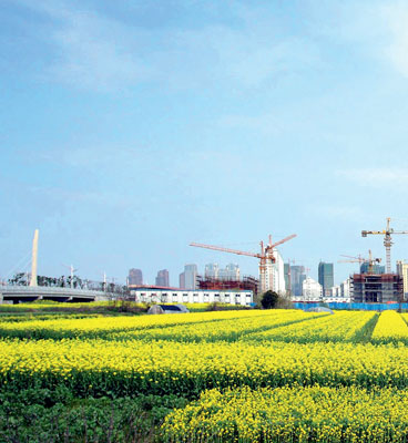 С����չ���ɳ����ն����������������Ȩ��