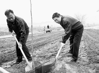 八进砖壁村山西省委书记包村住村纪实