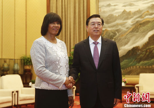 �ŵ½�����������������ɭ������