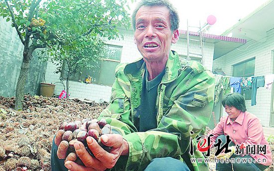 �ӱ��������塱10�򹫽��������ÿ���������3Ԫ