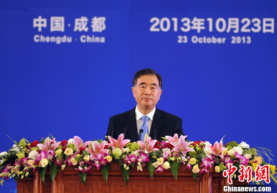 �����й������ƽ������󿪷��ľ��Ĳ��ᶯҡ