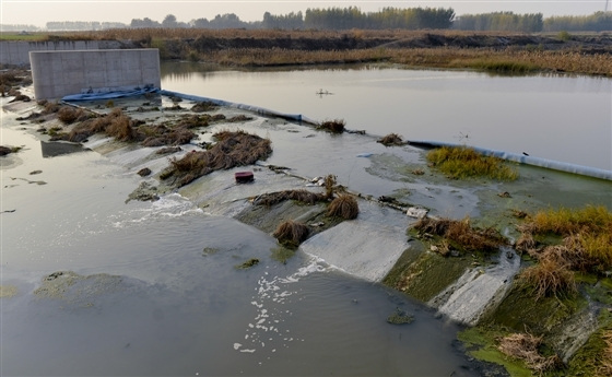 ����˳ƽÿ��2000����ˮ����ӹٷ���δ�ض���Ⱦ