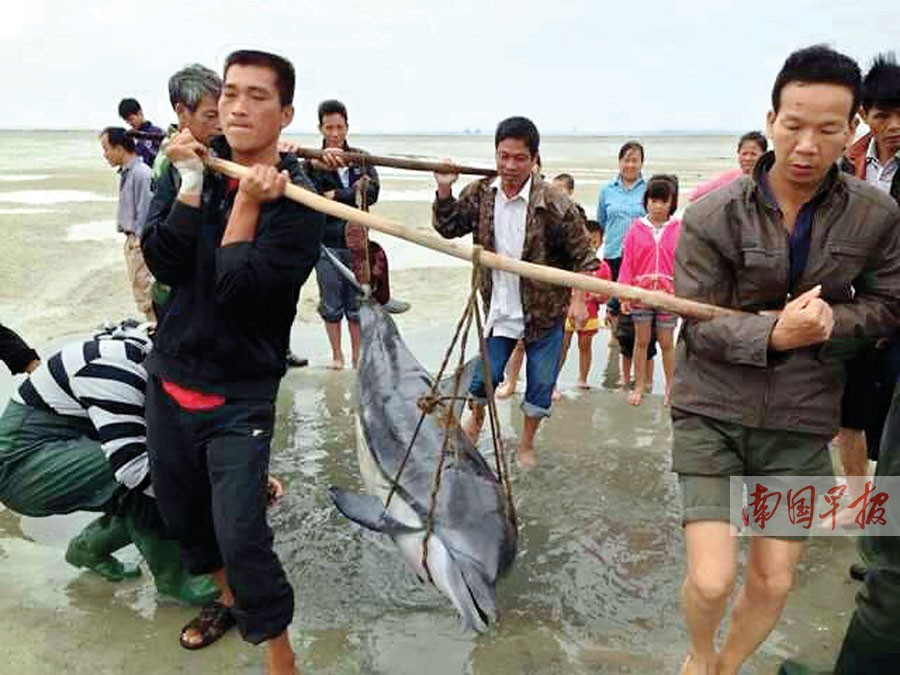 ��������������ָ�ǳ��������̨�纣���й�