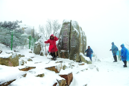 ̩ɽӭ�����׳�ѩȫ������װ�ع���ͼ��