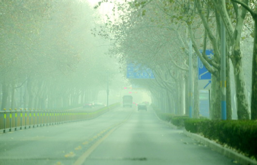 ɽ��9�г����ж�����һ����������ɫԤ����ͼ��