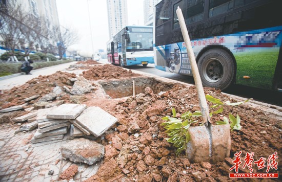 ���ϳ�ɳ�ذٿ���������ʧ��Ӧ��ϵ�����ԡ�