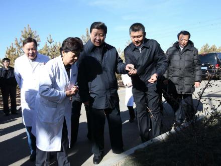 ϰ��ƽ���̻�ֻ�㡰�滨��ݡ����ɳ���