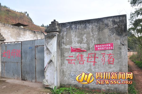 �Ĵ�һ��������źӹ�10�����˹ܶಿ�Ż�����