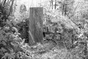 ���˷�ɽ��ʿĹ���������������˹������˼�ɨ