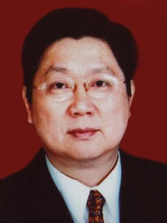 最高检决定对原江西省人大副主任陈安众立案侦查