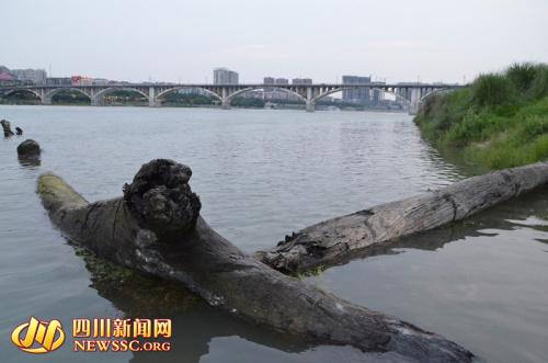 �Ĵ����꽭���ִ����ľ�����������������ѣ�ͼ��