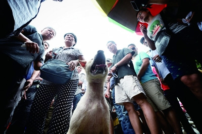 �������ֱ����˳⶯����ʿ���ࣺԽ����ԽҪ����