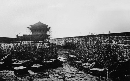 �����ų�ǽ�����ձ���ϰ��ѫ���������յô�����2��