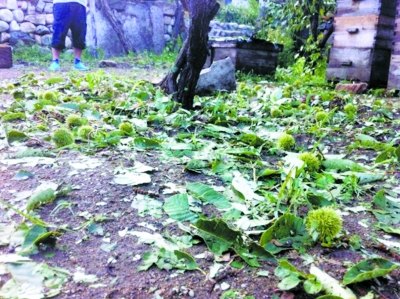 �������������Ϯ��������һ��˳��ͨ������Ϯ