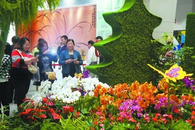 �й���������Ļ8�������������ŷ�ɽ����