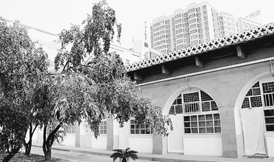 陕北现窑洞县委:一眼洞里挤4人开门办公41年