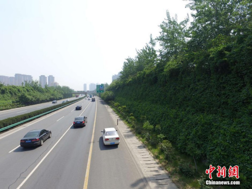 16�Ե�ʡ����ȡ��ʡ���ɽ�ͨΥ������1.15����Ԫ