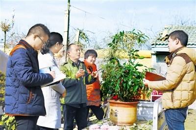 调查研究是做好工作的基本功没有调查就没有发言权